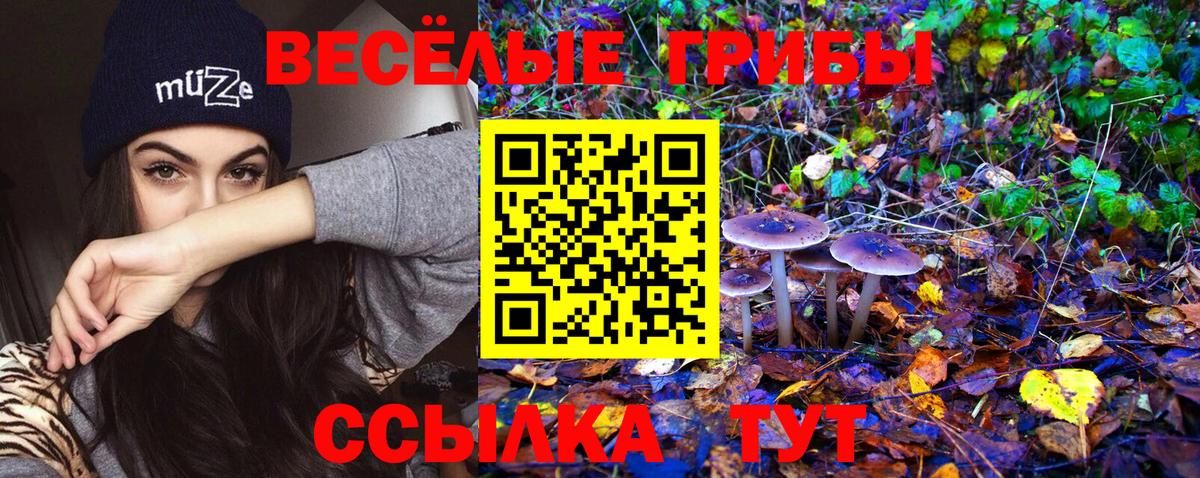 Галлюциногенные грибы прущие грибы Санкт-Петербург