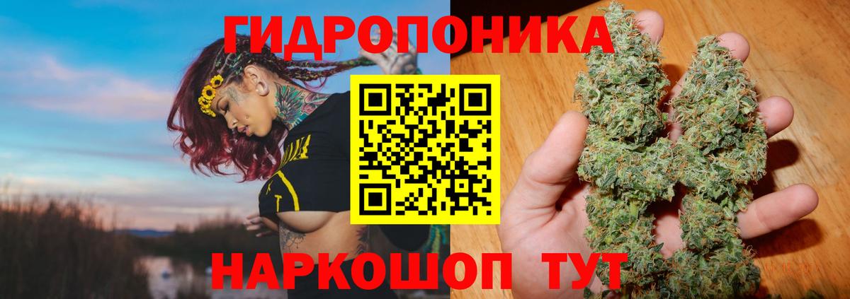 Шишки марихуана конопля  Шишки марихуана SATIVA & INDICA  МАРИХУАНА OG Kush  Каннабис планчик  Вход с VPN  Санкт-Петербург 